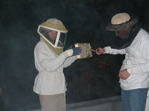 Helen and I getting bees off a frame of honey