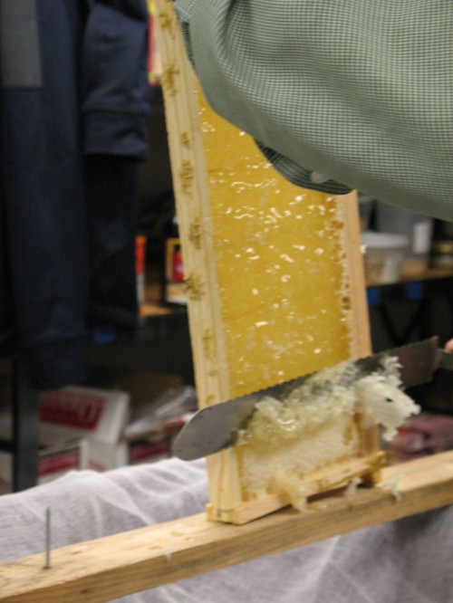 Using an uncapping knife to get the wax off a frame.